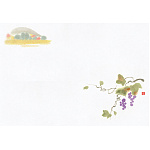 尺1お手元まっと 花景色 (100枚入) 山ぶどう(W64966)
