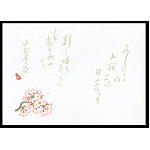 尺4無蛍光紙懐石まっと 万葉(100枚入) 桜(W65064)