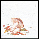 4寸OP懐石敷紙 (100枚入) 松茸(W65118)