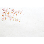 尺5雲竜和紙懐石まっと 四季(100枚入) 桜(W65183)