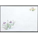 尺3雲竜和紙懐石まっと 枯淡 (100枚入) 花しょうぶ(W65202)