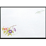 尺3雲竜和紙懐石まっと 枯淡 (100枚入) 朝顔(W65203)