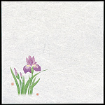 新・濡れ奉書紙 (100枚入) 菖蒲(W65395)