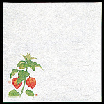 新・濡れ奉書紙 (100枚入) ほおずき(W65398)