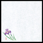 4寸御所の花 耐油天紙(100枚入) 菖蒲(W65818)