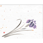 4x5寸花風情 (100枚入) 菖蒲(W65968)