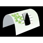 月見窓ドーム掛紙 (100枚入) 青もみじ(W66228)