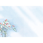 尺3四季彩まっと 花雅(はなみやび)(100枚入) 南天(W66459)