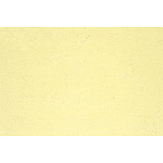 尺3雲竜和紙まっと 無地 (100枚入) クリーム雲竜(W68102)