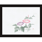 四季彩鮮度保持紙(100枚入) 朝顔(W69009)