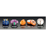 珍味入 あやめ(W25582)