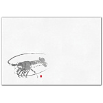 尺2四季彩まっと 鮮魚(100枚入) えび(海老)(W64858)