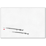 尺2四季彩まっと 鮮魚(100枚入) さより(細魚)(W64971)