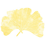 尺3四季彩まっと この葉型抜き(50枚入) いちょう(W66780)