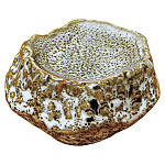 岩石 一品皿 ゆず白(W79411)