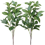 光触媒 人工観葉植物 造花 シキミ(香花)2本セット (高さ65cm)