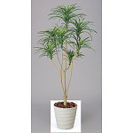 光触媒 人工観葉植物 造花 ユッカ 1.6 (高さ160cm)