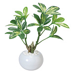 光触媒 人工観葉植物 造花 シェフレラポット (高さ23cm)