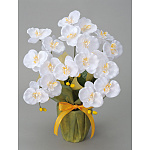 光触媒 人工観葉植物 造花 ミディ胡蝶蘭W (高さ50cm)