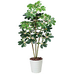 光触媒 人工観葉植物 造花 カポック斑入り1.2 (高さ120cm)