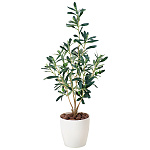 光触媒 人工観葉植物 造花 オリーブ (高さ73cm)