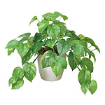 光触媒 人工観葉植物 造花 フレッシュポトスM (高さ36cm)