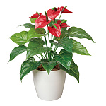 光触媒 人工観葉植物 造花 フレッシュアンスリュームM (高さ43cm)