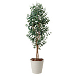光触媒 人工観葉植物 造花 ユーカリ1.6 (高さ160cm)
