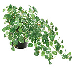 光触媒 人工観葉植物 造花 プミラ (高さ25cm)