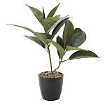 光触媒 人工観葉植物 造花 ゴムの木 (高さ47cm)