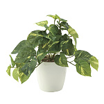 光触媒 人工観葉植物 造花 フレッシュポトスS (高さ25cm)