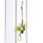 光触媒 人工観葉植物 造花 エア―プランツW(ポリ製) (高さ54cm)