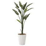 光触媒 人工観葉植物 造花 ストレチア1.6 (高さ160cm)