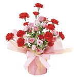 光触媒 人工観葉植物 造花 カ―ネ―ションM (高さ33cm)