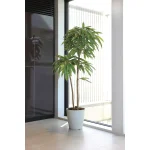 光触媒 人工観葉植物 造花 アムステルラバーキング