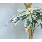 ■拡大写真