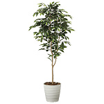 光触媒 人工観葉植物 造花 ベンジャミン1.6 (高さ160cm)
