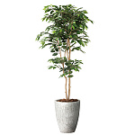 光触媒 人工観葉植物 造花 ナチュラルベンジャミン1.8 (高さ180cm) (2405A650)