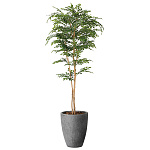 光触媒 人工観葉植物 造花 ナチュラルトネリコ1.8 (高さ180cm) (2407A720)