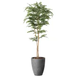 光触媒 人工観葉植物 造花 ナチュラルトネリコ1.8 (高さ180cm) (2407A720)