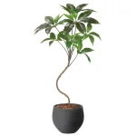 光触媒 人工観葉植物 造花 ナチュラルツピタンサス1.0 (高さ100cm) (2409A190)