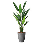 光触媒 人工観葉植物 造花 ナチュラルトラベラーズパーム1.6 (高さ160cm) (2486A540)