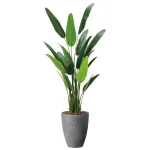 光触媒 人工観葉植物 造花 ナチュラルトラベラーズパーム1.6 (高さ160cm) (2486A540)