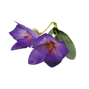 四季の花ごよみ  キキョウ (100個入)  (W64256)