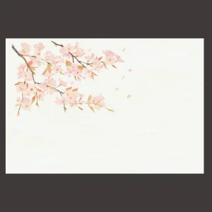 尺3雲竜和紙懐石まっと 四季  桜 (50枚入)  (W64377)