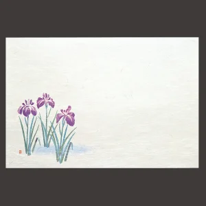 尺3雲竜和紙懐石まっと 四季  菖蒲 (50枚入)  (W64471)