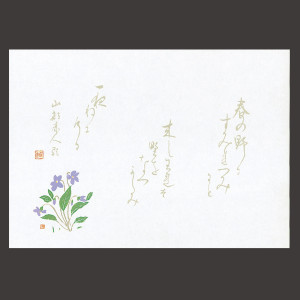 尺4無蛍光紙懐石まっと 万葉 菫(すみれ)   (100枚入)  (W64531)