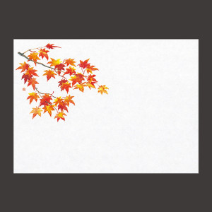 遠赤保鮮紙(小)紅葉 (100枚入)  (W64563)