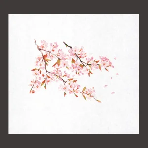 遠赤保鮮紙(小)桜  (100枚入)  (W64560)