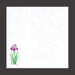 四季耐油天紙(小)菖蒲 (100枚入)  (W64916)
